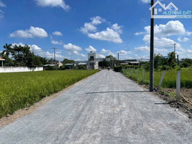 BÁN GẤP 2000M² ĐẤT VƯỜN MẶT TIỀN ĐƯỜNG – GIÁ CHỈ 2,5 TRIỆU/M² - 3