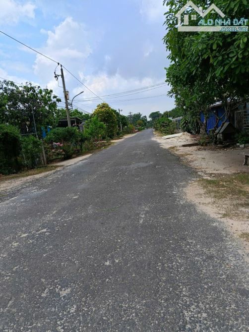 Bán nhà đường nhựa Gần trường Nguyễn an Ninh cũ, Thạnh Tây Tân Biên Tây Ninh - 3