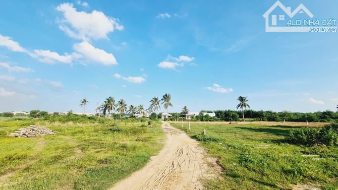 bán gấp 1000m2 phủ hồng, sổ riêng, đường rộng 6m, cách biển LaGi 1km. giá rẻ 1,1 tỷ - 4