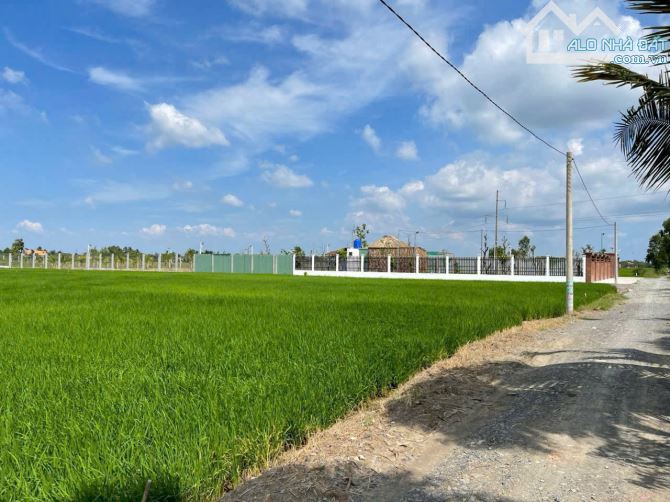 BÁN GẤP 2000M² ĐẤT VƯỜN MẶT TIỀN ĐƯỜNG – GIÁ CHỈ 2,5 TRIỆU/M² - 4