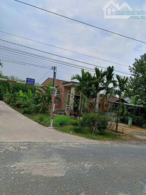 Bán nhà đường nhựa Gần trường Nguyễn an Ninh cũ, Thạnh Tây Tân Biên Tây Ninh - 4