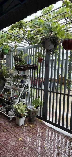 Bán nhà khu dân cư Hàm Liêm sát khu công nghiệp Phan Thiết - 5
