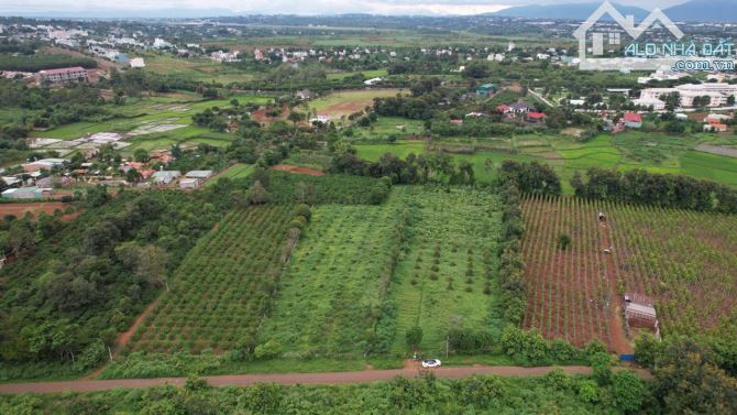 Cần bán lô đất hơn 7500m2 đất hẻm ÂU CƠ view ruộng, phường Thắng Lợi, Pleiku, Gia Lai - 6