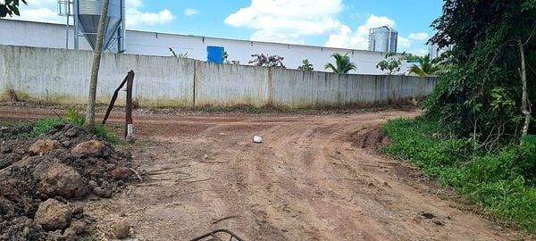 Cho thuê đất trống cln tại xã long an, tp.hcm, diện tích 4,5 ha, 20tr - 7