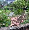 BÁN ĐẤT TRUNG TÂM DƯƠNG QUANG -THUẬN AN (GIA LÂM) -55M -3 TỶ