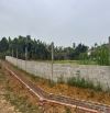 Cần bán 1500m2c có 200m thổ cư tại Kim Bôi, Hòa Bình