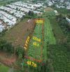 Cần bán lô đất hơn 7500m2 đất hẻm ÂU CƠ view ruộng, phường Thắng Lợi, Pleiku, Gia Lai