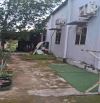 CẦN BÁN GẤP NHÀ XƯỞNG MẶT TIỀN ĐƯỜNG NGANG 10M XE TẢI THÔNG 480M2 CHỈ 12.5 TỶ