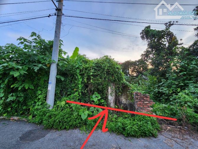🌳 BÁN ĐẤT - DƯƠNG QUANG- GIA LÂM- 80m2 - Giá 5.6 TỶ - 1