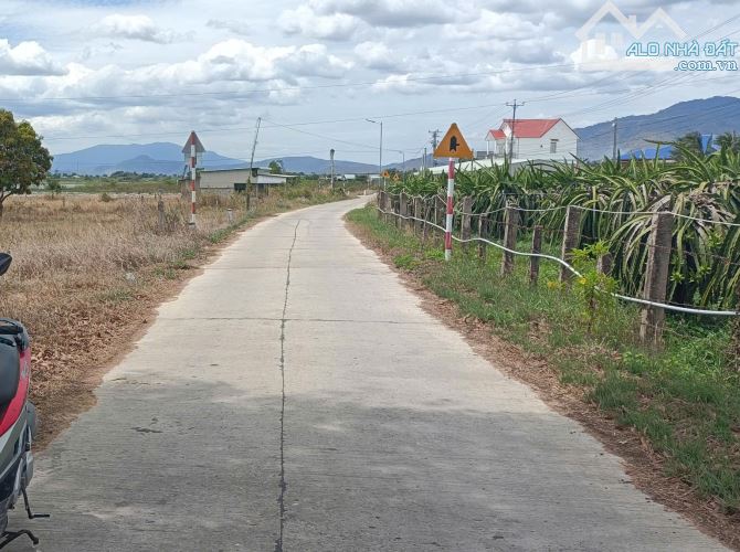 Đất Sào gần bên QL1A-Xã Hàm Thuận Nam(Hàm Minh cũ)-Lâm Đồng-19.200m2( 4 Thửa LK)