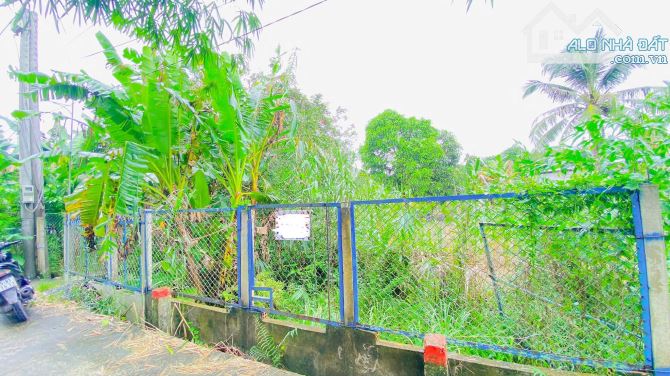 Bán đất 1.500 m2 rạch Đường Gỗ Cái Răng có view sông