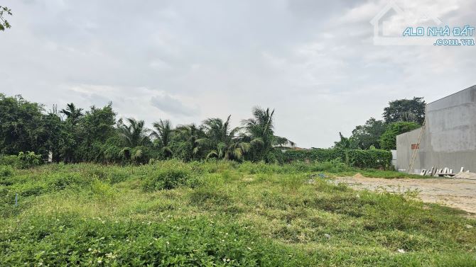 Bán đất 13.1x43.7m, hẻm Trương Văn Vĩnh p. Tân Bình gần chợ Phú An