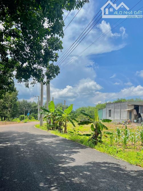 Bán Đất Gần Chợ 272m2 thổ cư, Giá tổng 750 triệu, Ngay UBND xã An Linh