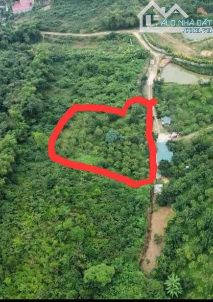 Bán 1800m2 đất nghỉ dưỡng, view đồi núi, trên đất trồng nhiều cây ăn quả tại Tiến Xuân