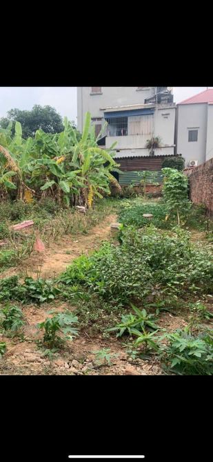 Lô đất vuông đẹp .giá rất tốt cho nhà đầu tư .98m full.sổ đẹp cất két sẵn sàng giao dịch