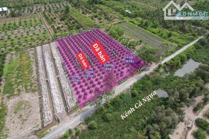 546m2 đất vườn được lên thổ vew kênh đường ôtô bình đức bến lức Long An 550 triệu rẻ ngộp