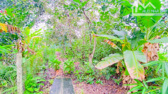 Bán đất 1.500 m2 rạch Đường Gỗ Cái Răng có view sông - 10