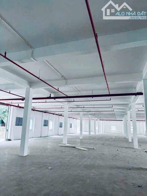 Cần cho thuê nhà xưởng 2 tầng trong ccn trường an, PCCC đầy đủ - 1
