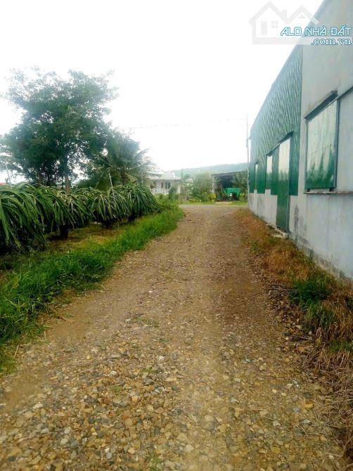 Đất Sào gần bên QL1A-Xã Hàm Thuận Nam(Hàm Minh cũ)-Lâm Đồng-19.200m2( 4 Thửa LK) - 1
