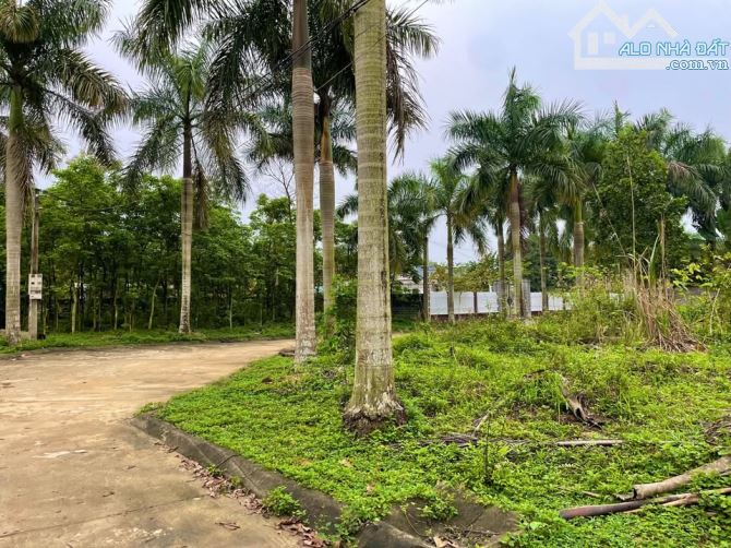 Bán 853m2 Lương Sơn, giá 5,x tỷ. Cách nội đô Hà Nội 35km - 1