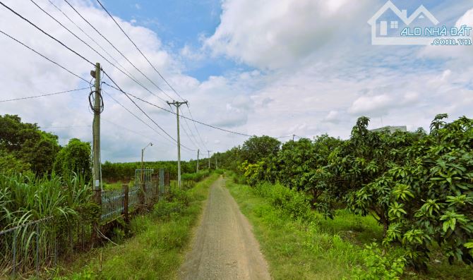 Bán đất vườn diện tích: 6693m2 tại Phú Ngọc, Định Quán, Đồng Nai, giá cực rẻ 1,6 tỷ - 1