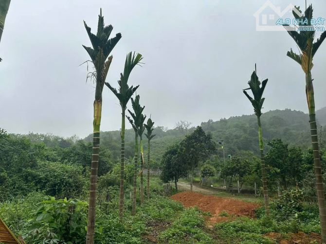 Bán 1800m2 đất nghỉ dưỡng, view đồi núi, trên đất trồng nhiều cây ăn quả tại Tiến Xuân - 1
