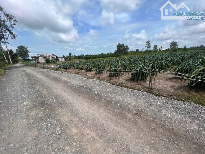 546m2 đất vườn được lên thổ vew kênh đường ôtô bình đức bến lức Long An 550 triệu rẻ ngộp - 1