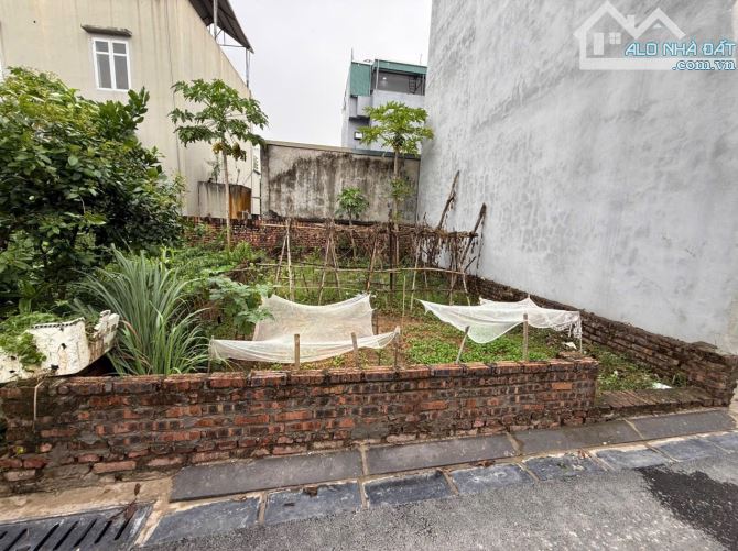📣 BÁN ĐẤT VIEW HỒ MAI LÂM ĐÔNG ANH – NGAY VIN CỔ LOA- ĐẸP - RẺ - TIỀM NĂNG - 1