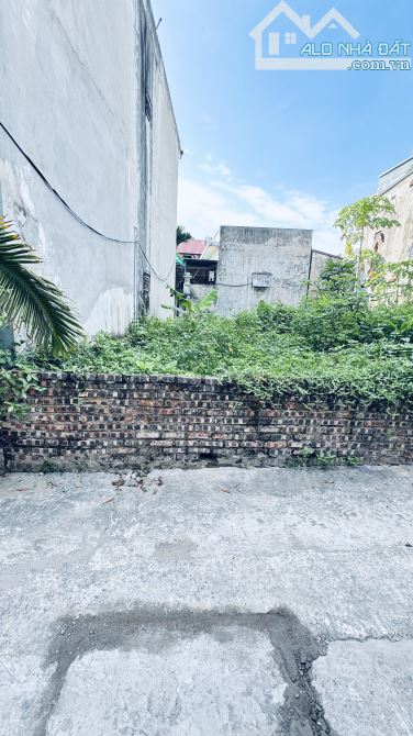 Mảnh Đất Mai Lâm  Đông Anh 50m² Gần Vin Cổ Loa, cầu Tứ Liên – Ô Tô Vào Tận Nhà – Gần Hồ - 1