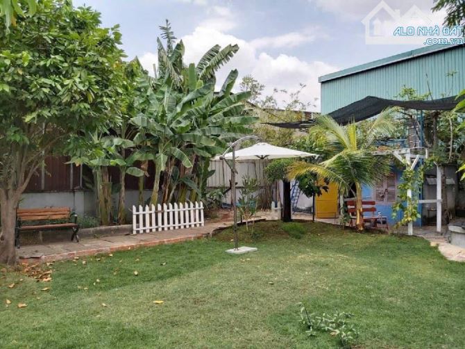 🌳 BÁN ĐẤT VUÔNG VỨC – TẶNG KÈM 302M² ĐÃ CÓ NHÀ VÀ VƯỜN – GIÁ CHỈ 16 TỶ - 2
