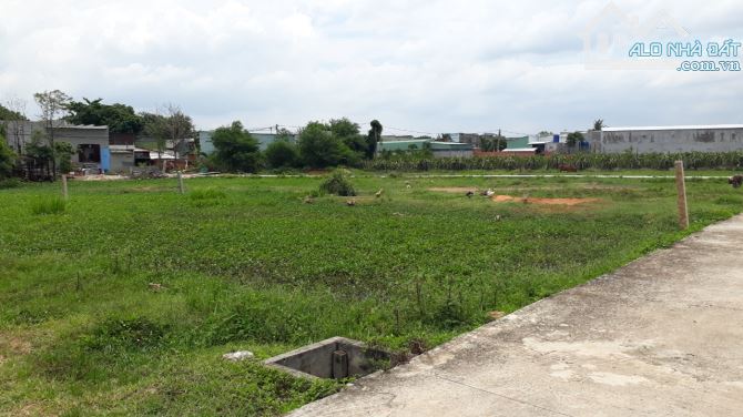 Đất Sào gần bên QL1A-Xã Hàm Thuận Nam(Hàm Minh cũ)-Lâm Đồng-19.200m2( 4 Thửa LK) - 2