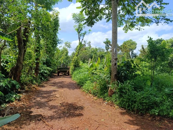 BÁN LÔ ĐẤT NN 1.300M2 GÓC 2 MẶT TIỀN CUỐI YMOAN, TP. BUÔN MA THUỘT - GIÁ 1,2 TỶ - NỞ HẬU - 2