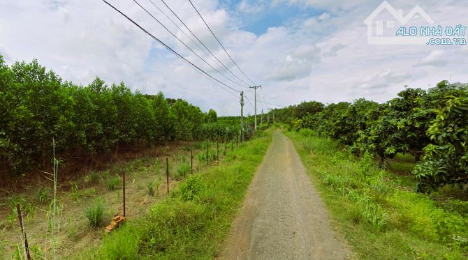 Bán đất vườn diện tích: 6693m2 tại Phú Ngọc, Định Quán, Đồng Nai, giá cực rẻ 1,6 tỷ - 2