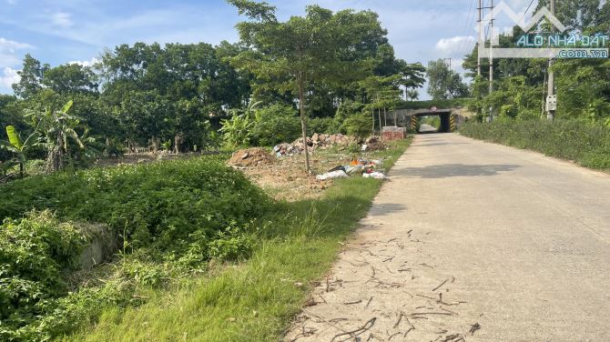 Chính chủ bán 1200m2 đất nông nghiệp xen kẹt, giá rẻ 1,2tr/m2 - 2