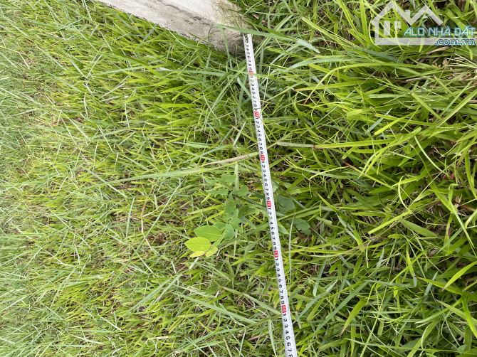 550m đất thổ cư giá giảm mạnh chỉ 4,5 tr/m2. Đường oto tránh nhau - 2