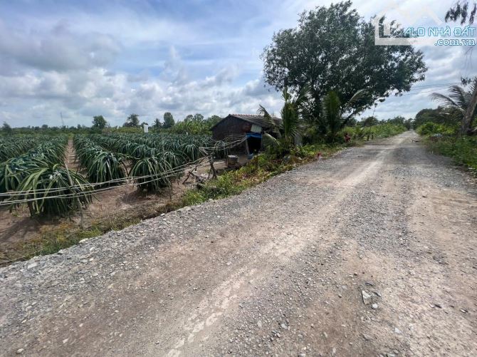 546m2 đất vườn được lên thổ vew kênh đường ôtô bình đức bến lức Long An 550 triệu rẻ ngộp - 2