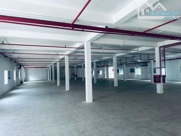 Cần cho thuê nhà xưởng 2 tầng trong ccn trường an, PCCC đầy đủ - 3