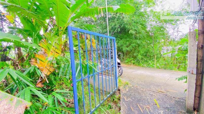 Bán đất 1.500 m2 rạch Đường Gỗ Cái Răng có view sông - 3