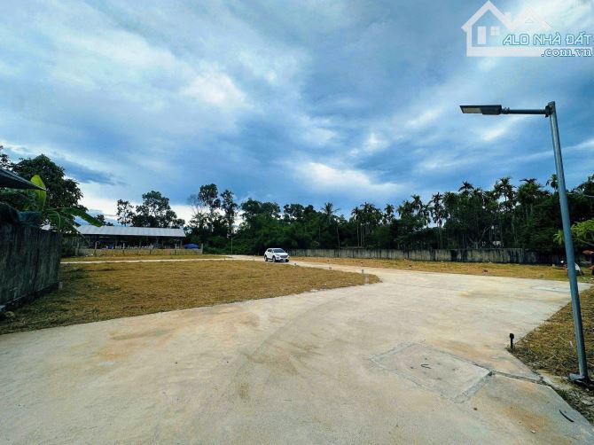 💥 Mở bán khu phân lô mặt tiền kiệt Nguyễn Văn Chư thông Tôn Thất Sơn - 3