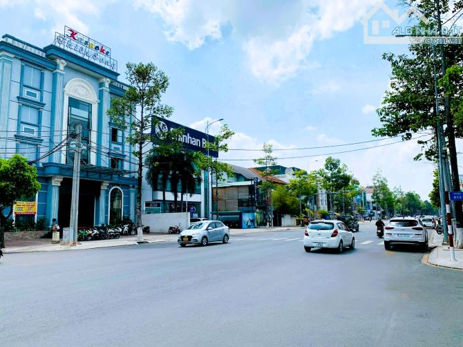 Bán đất mặt tiền Võ Thị Sáu sổ hồng 839m2 đất thổ cư ngang 32m vị trí siêu hiếm giá 195 tỷ - 3
