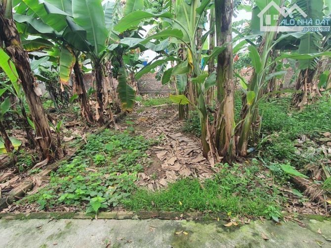 Chủ cần tiền bán gấp 42m2 Kim Hồ - Lệ Chi, giá rẻ nhất thị trường - 3