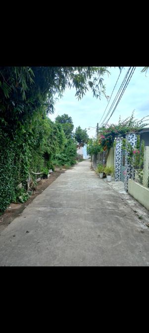 🏡Bán đất 103m2 khu vực kim châu,P Bình Định, tx an nhơn, Bình Định - 3
