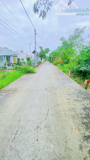 Bán đất 1.500 m2 rạch Đường Gỗ Cái Răng có view sông - 4