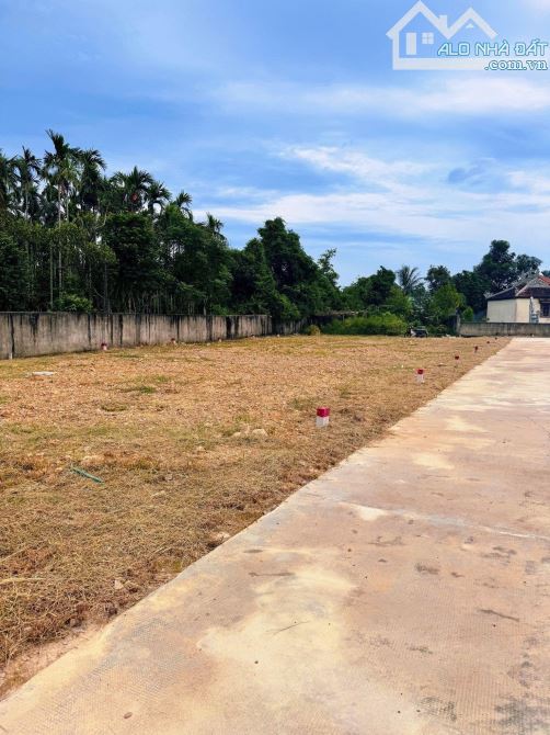 💥 Mở bán khu phân lô mặt tiền kiệt Nguyễn Văn Chư thông Tôn Thất Sơn - 4