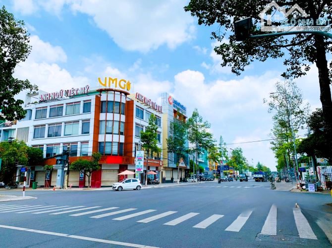 Bán đất mặt tiền Võ Thị Sáu sổ hồng 839m2 đất thổ cư ngang 32m vị trí siêu hiếm giá 195 tỷ - 4