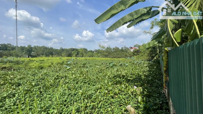 Chính chủ bán 1200m2 đất nông nghiệp xen kẹt, giá rẻ 1,2tr/m2 - 4