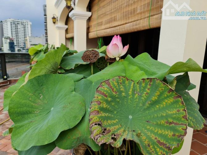 Bán tòa nhà văn phòng Vip 10 tầng TM, MT 12 m, Mặt phố đẹp nhất khu phố Hoàng Cầu. Giá ĐT - 5