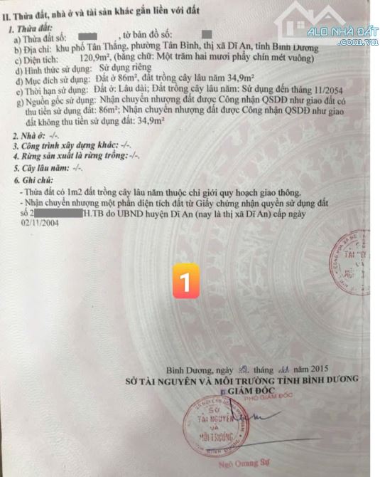 21ty TL bán gấp 3 lô đất MT đường Nguyễn Thị Minh Khai Kinh doanh rất tốt p.Tân Bình - 5