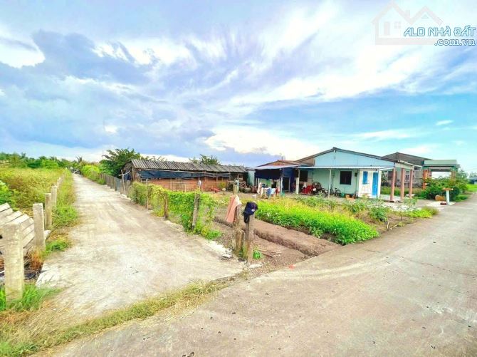Quá rẻ, 1113m2 đất có 113m2 thổ cư đường ô tô chỉ 1.15 tỷ - 5