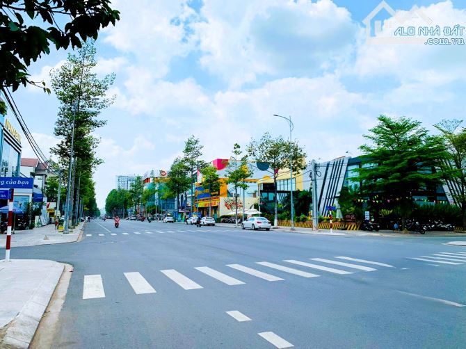 Bán đất mặt tiền Võ Thị Sáu sổ hồng 839m2 đất thổ cư ngang 32m vị trí siêu hiếm giá 195 tỷ - 5